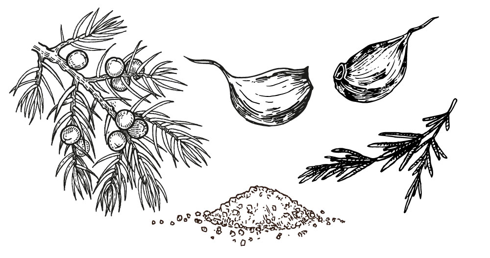 ursprung_gewuerze_01